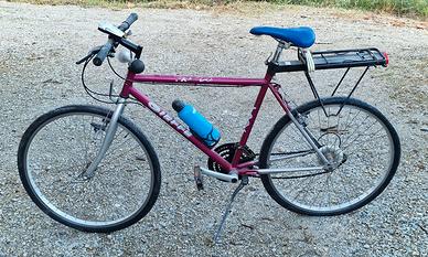 Bicicletta Citybike