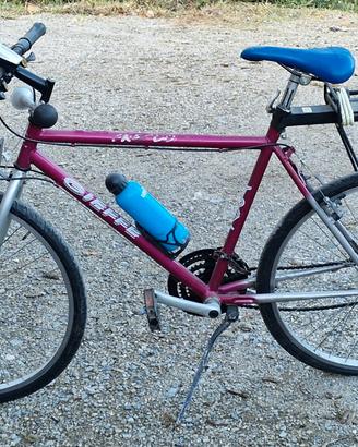 Bicicletta Citybike