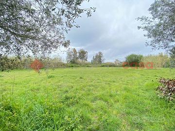 Terreno Agricolo Mondragone [Cod. rif 3316661VCG]