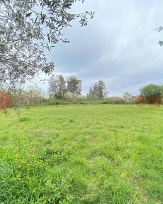 Terreno Agricolo Mondragone [Cod. rif 3316661VCG]