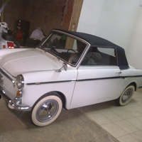500 Bianchina cabro