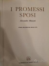 I Promessi Sposi – Manzoni – 4 volumi illustrati