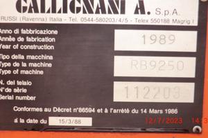 Rotoballe gallignani