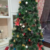 Alberto di Natale con trenino 