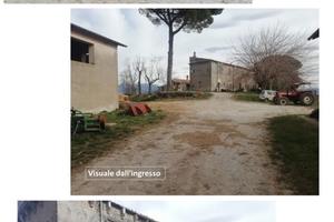 Vendita grande tenuta