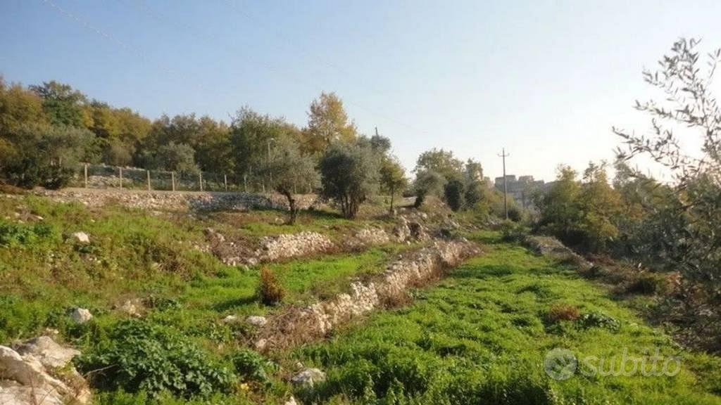Rustico / Casale di 144 m² con 3 locali a Ausonia - Vista 6