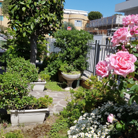 BILOCALE a 50 mt.dal Mare