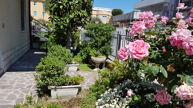 BILOCALE a 50 mt.dal Mare