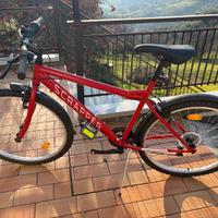 Bici MTB Scrapper