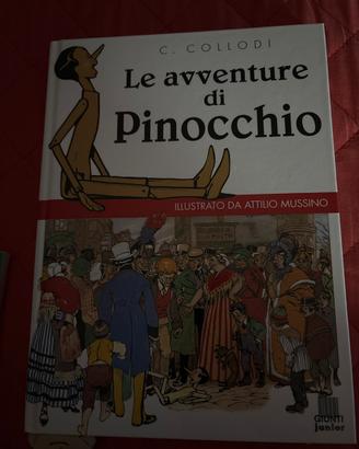 Libro, Le avventure di Pinocchio