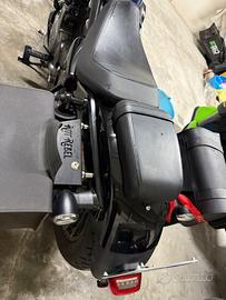 Harley-Davidson Nightster - 2024