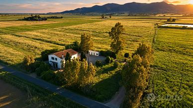 Podere Marchesi