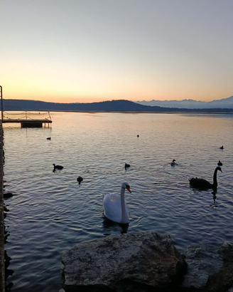 Sono a Santhià