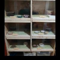 terrario a sei teche 