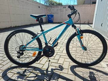MTB 24