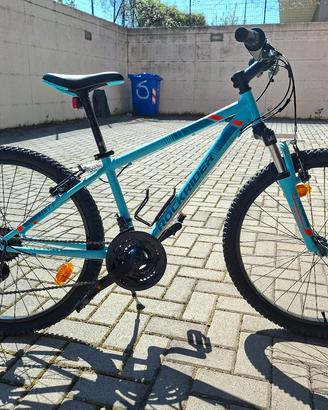 MTB 24