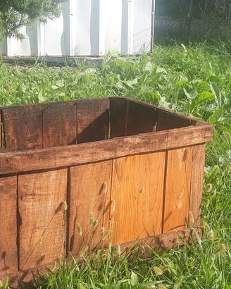 Cassa per raccolta frutta in legno... di una volta