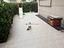 Immagine 12