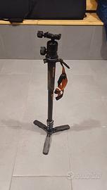 monopiede Vanguard con testa e base