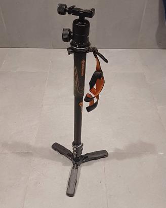monopiede Vanguard con testa e base