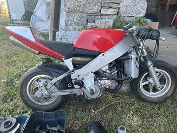 Minimoto Polini 911