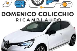 Porta e Portellone Renault Clio 2022