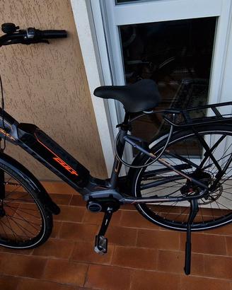 ATALA CULT 8.1 AM80   504 W