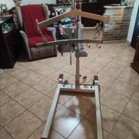 Sollevatore disabili