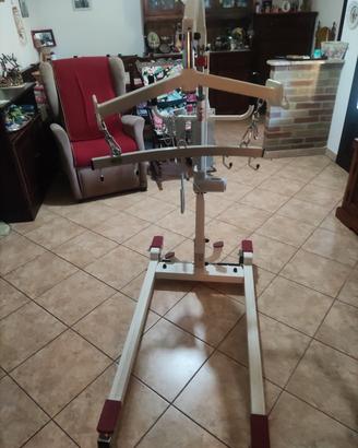 Sollevatore disabili