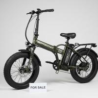 EBIKE fat Bottecchia