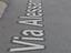 Immagine 12