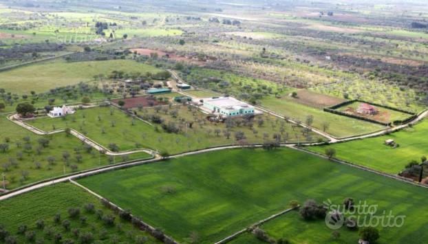 Azienda Agricola Bio Frantoio Cantina Terreni