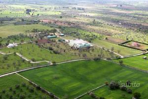 Azienda Agricola Bio Frantoio Cantina Terreni