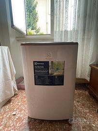 Electrolux condizionatore portatile