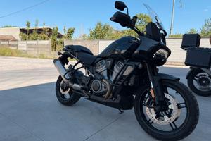 Harley-Davidson Pan America 1250 Special