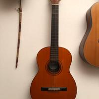 Chitarra brasiliana Di Giorgio