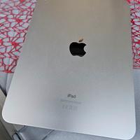 iPad 10 Gen 256 Gb Silver come nuovo