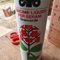 concime liquido per gerani