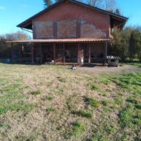 Cani da tartufi