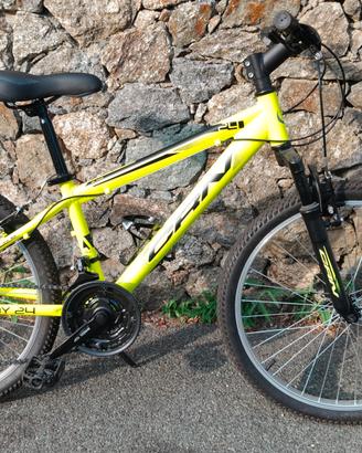 Bicicletta Boy 24
