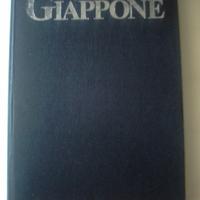 Un Giorno Nella Vita Del Giappone,libro fotografic