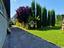Immagine 9