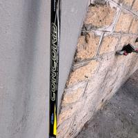 Canna da pesca bolognese collic concord fiume 6 mt
