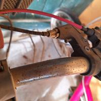 Biciclette bambina 6 - 10 anni