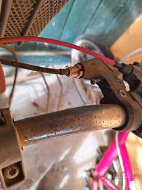 Biciclette bambina 6 - 10 anni