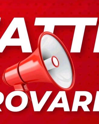 Tutto fare molto abile in idiverse realtà 