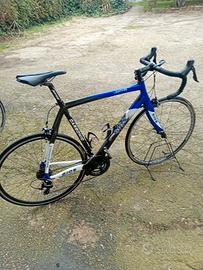 Gios full carbon  tg 58