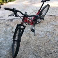 Bici 26