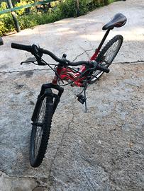 Bici 26