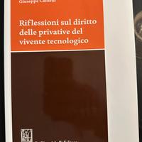 Riflessioni sul diritto delle privative